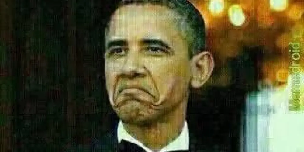 Imagem do grupo de WhatsApp Samos Abigos ❤️