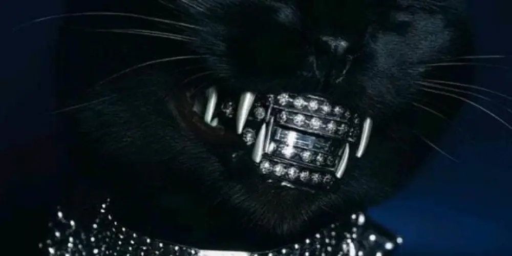 Imagem do grupo de WhatsApp Sanatório Blackwood