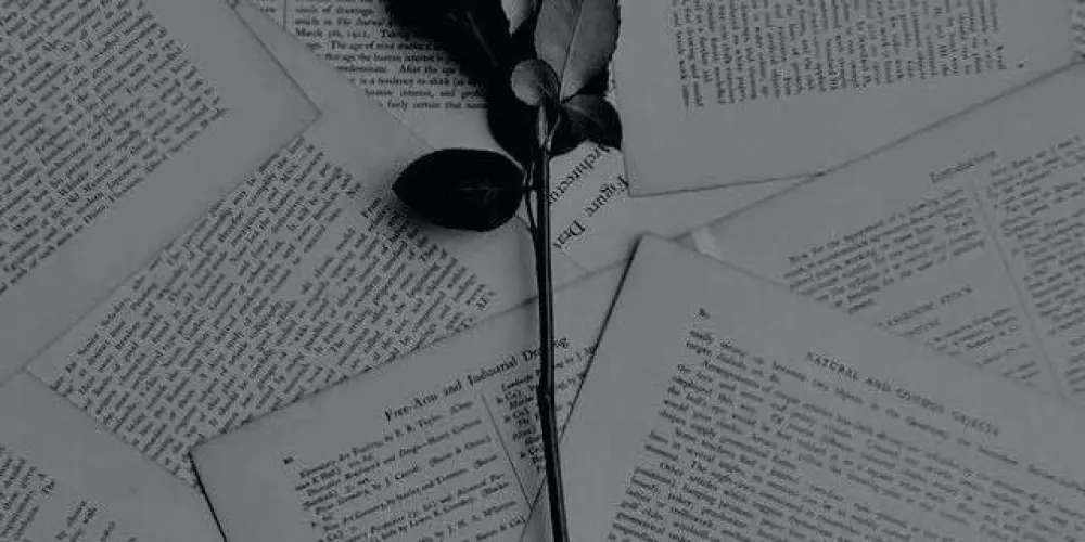 Imagem do grupo de WhatsApp sanity 0