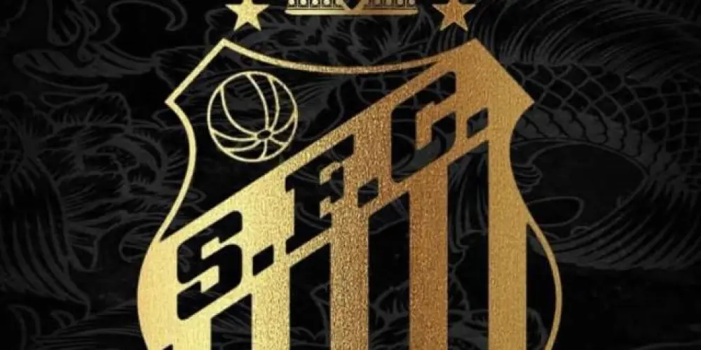 Imagem do grupo de WhatsApp SANTOS F. C 🖤🤍