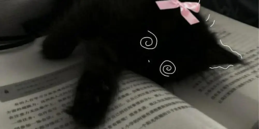 Imagem do grupo de WhatsApp Santuário da santidade