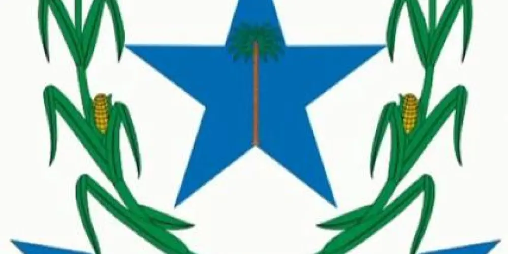Imagem do grupo de WhatsApp São Domingos do Maranhão