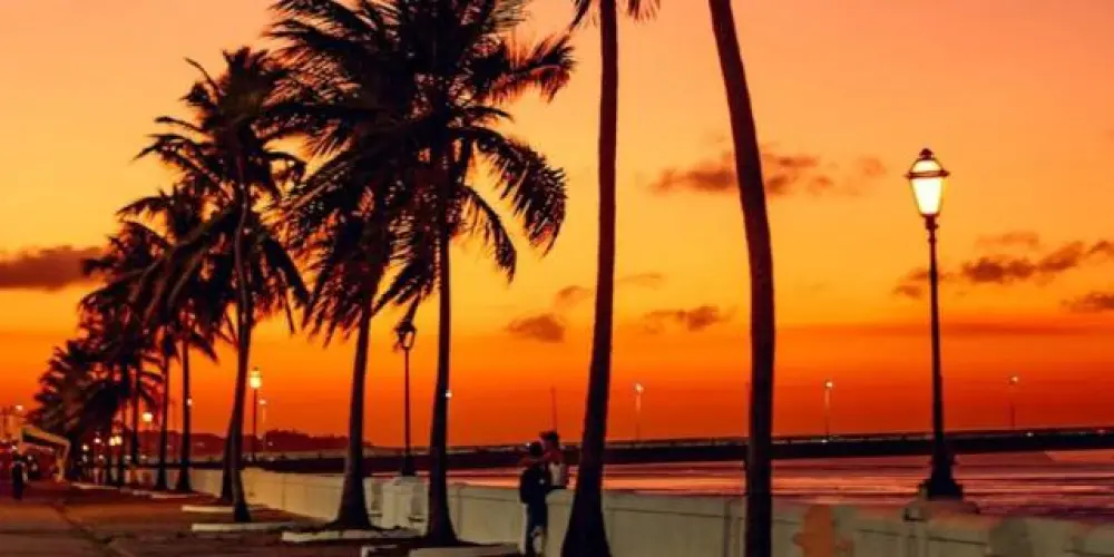 Imagem do grupo de WhatsApp São Luís🌴- Bate-Papo, amizades e notícias🔥✅