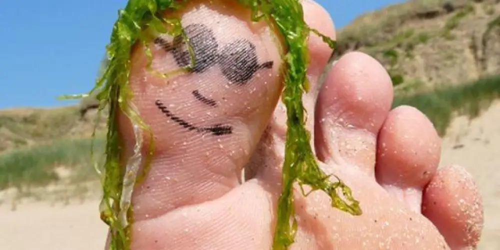 Imagem do grupo de WhatsApp São Luiz da Depressão🏝️👽👀