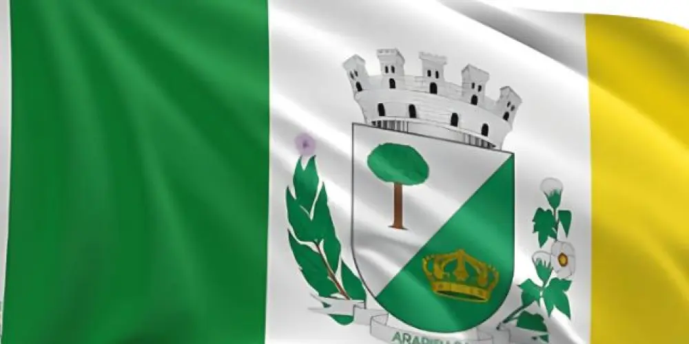 Imagem do grupo de WhatsApp São Miguel dos campos Arapiraca amizades