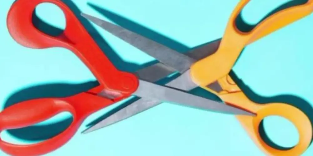 Imagem do grupo de WhatsApp Sapas/sapos 🐸