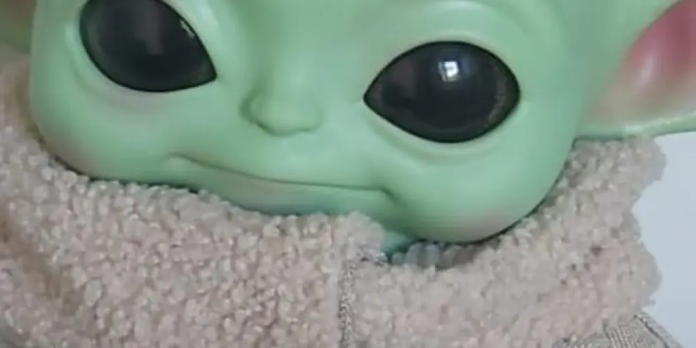 Imagem do grupo de WhatsApp Sapo careca