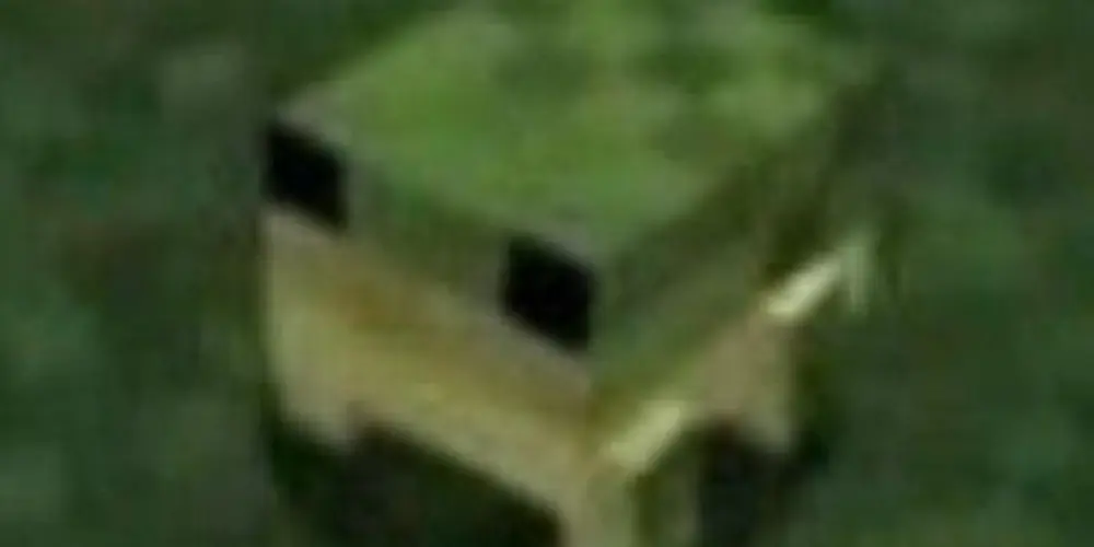 Imagem do grupo de WhatsApp Sapos 🐸