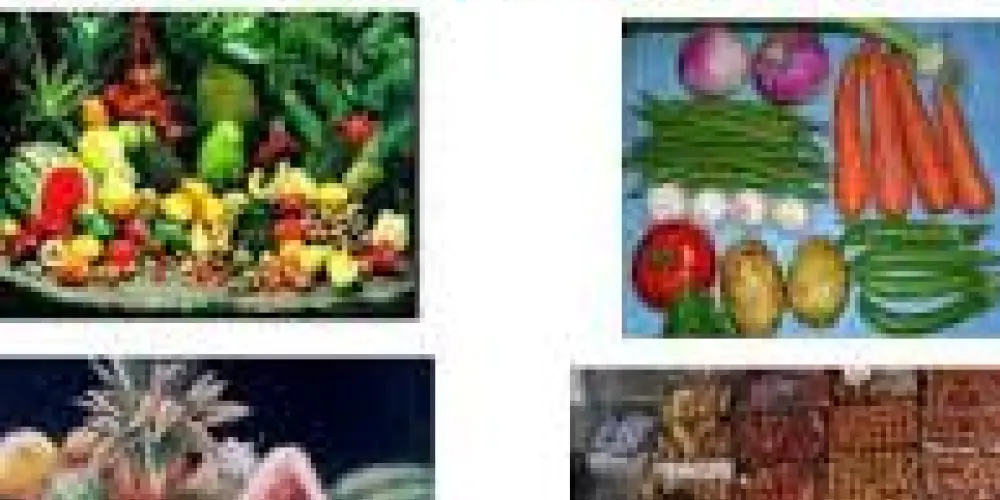 Imagem do grupo de WhatsApp SAÚDE NATURAL