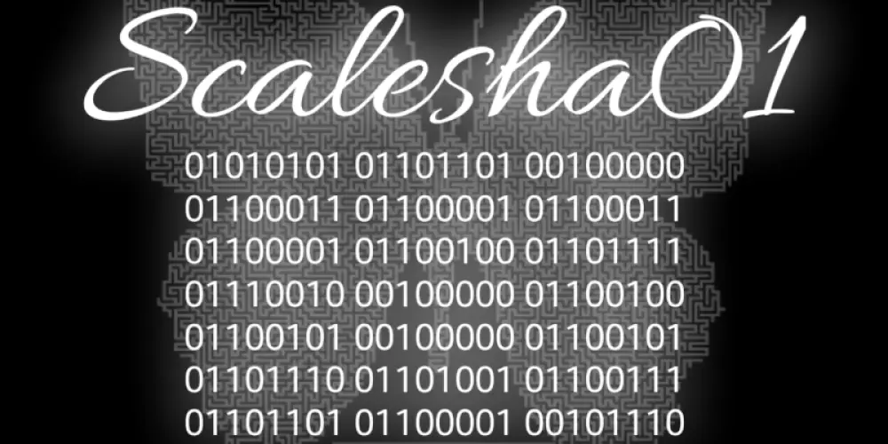 Imagem do grupo de WhatsApp Scalasha01
