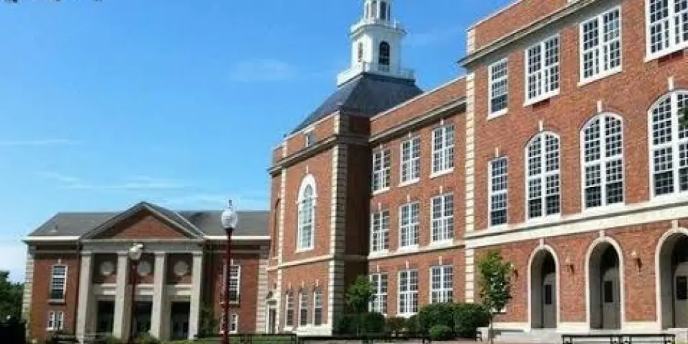 Imagem do grupo de WhatsApp SCHOOL DOS FAMOSOS💥