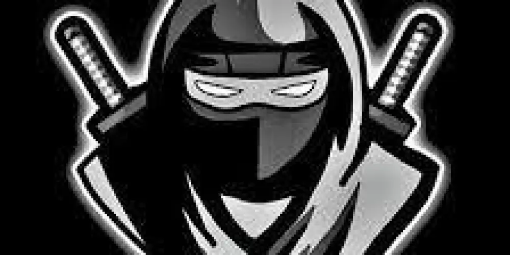 Imagem do grupo de WhatsApp Script blox fruits