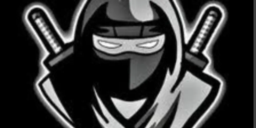 Imagem do grupo de WhatsApp Script de blox fruits e executor