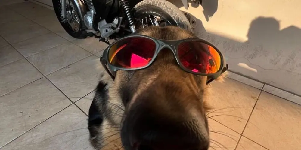 Imagem do grupo de WhatsApp 𝐕𝐞𝐫𝐭𝐢𝐜𝐞 صداقة