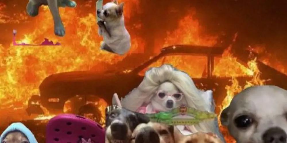 Imagem do grupo de WhatsApp 𝐕𝐞𝐫𝐭𝐢𝐜𝐞 صداقة