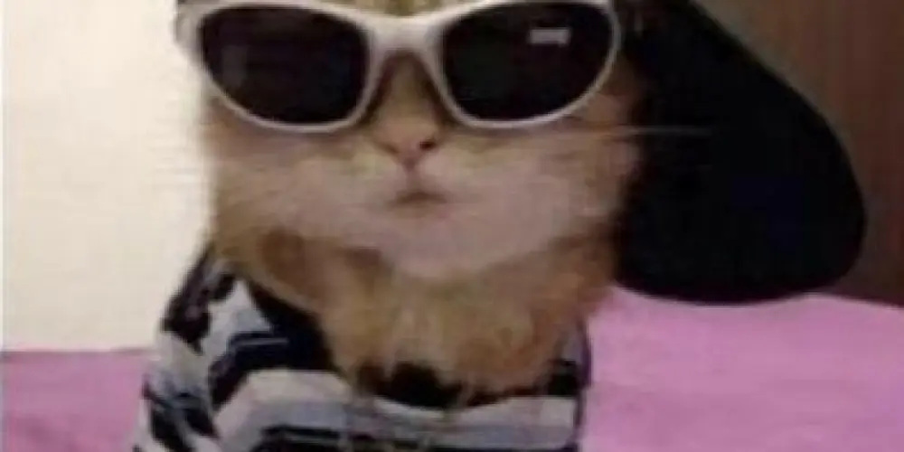 Imagem do grupo de WhatsApp Se divertar com amigos novos