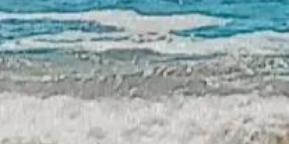 Imagem do grupo de WhatsApp "Se não aguenta nem fica"🤪