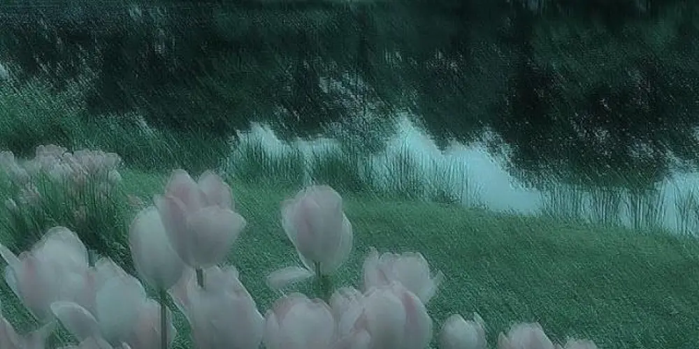 Imagem do grupo de WhatsApp SECRETS🤫