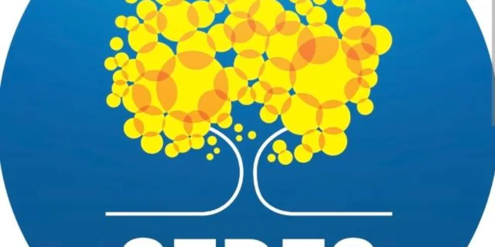 Imagem do grupo de WhatsApp SEDES-DF  PRÉ EDITAL