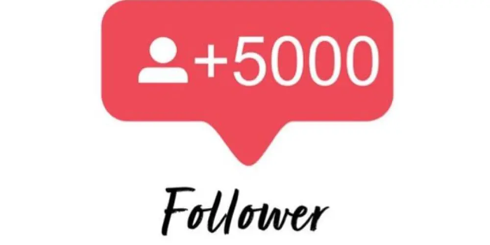 Imagem do grupo de WhatsApp ➕Seguidores✅