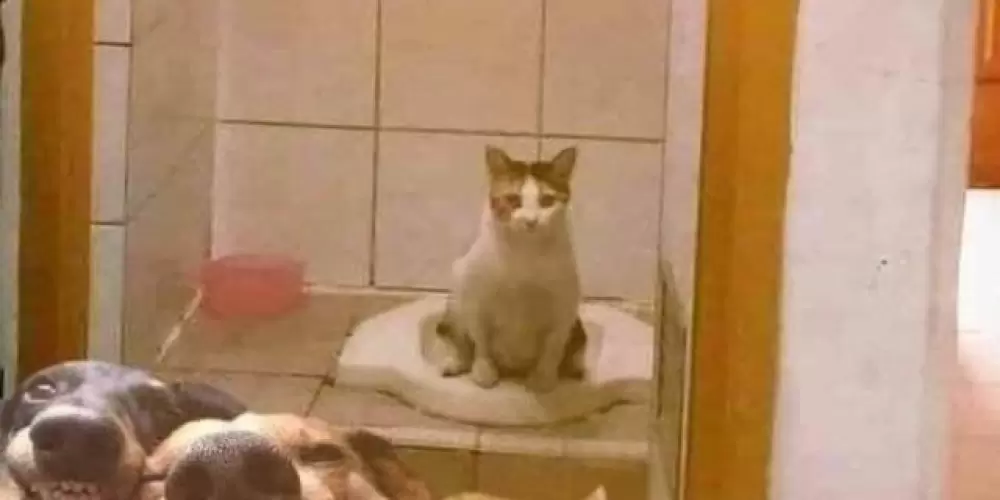 Imagem do grupo de WhatsApp Sei lá kkk🤷🏽‍♀️