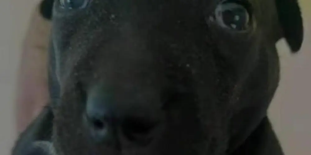 Imagem do grupo de WhatsApp Seinaorapaz :)