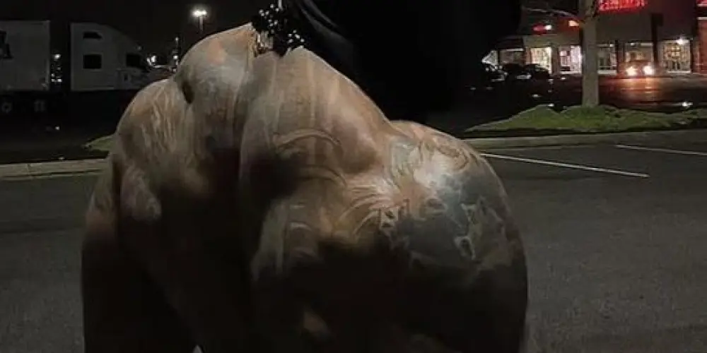 Imagem do grupo de WhatsApp SEITA DOS DARKS ROMANCES 🌸