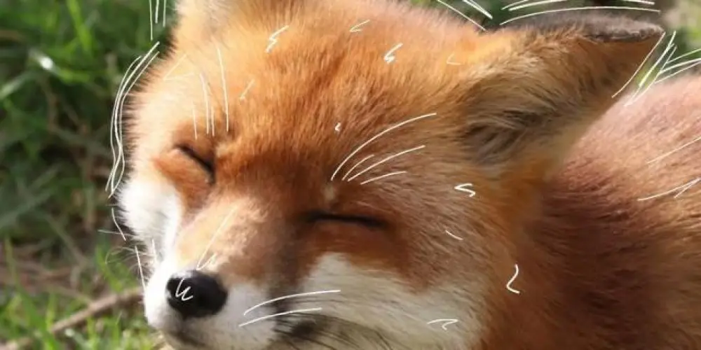 Imagem do grupo de WhatsApp Sejam oq quiserem✨