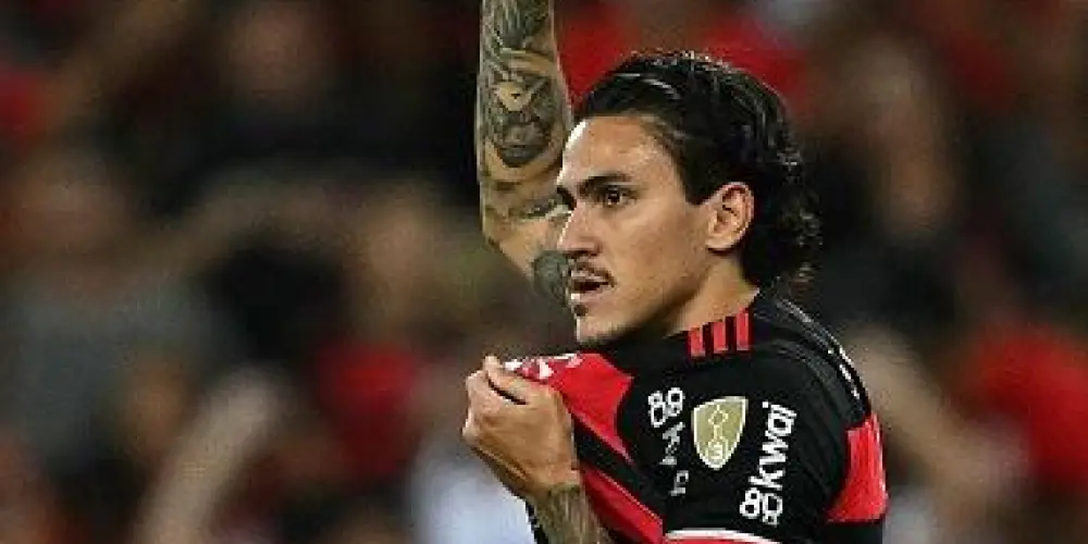 Imagem do grupo de WhatsApp Seleção dos faixa 🥋🥋