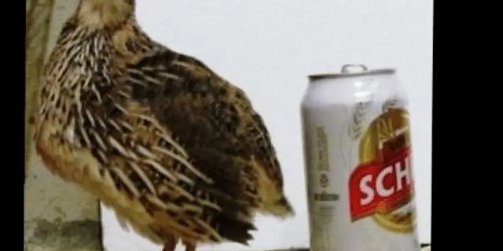 Imagem do grupo de WhatsApp s͟e͟m͟ c͟u͟t͟c͟h͟a͟r͟r͟a͟ 🙂‍↕