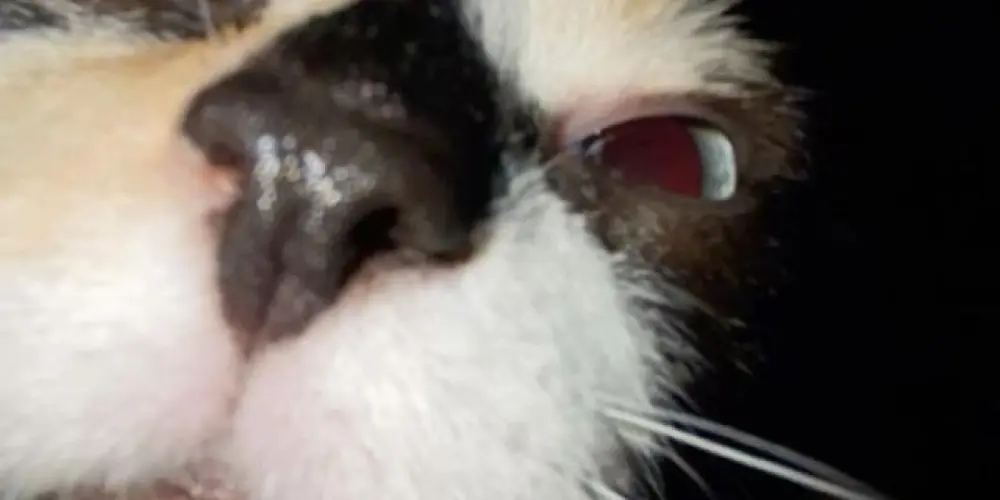 Imagem do grupo de WhatsApp Sem estresse 🤸🏻‍♀️