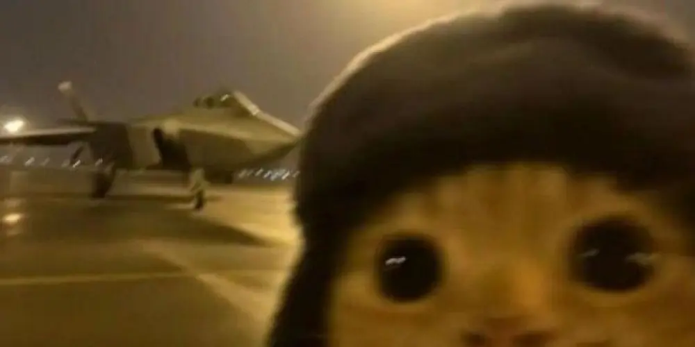 Imagem do grupo de WhatsApp Sem_futuro