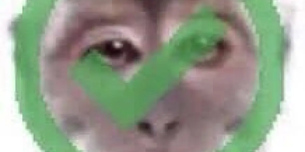 Imagem do grupo de WhatsApp ༻꫞ SEM LIMITES ꫞༺