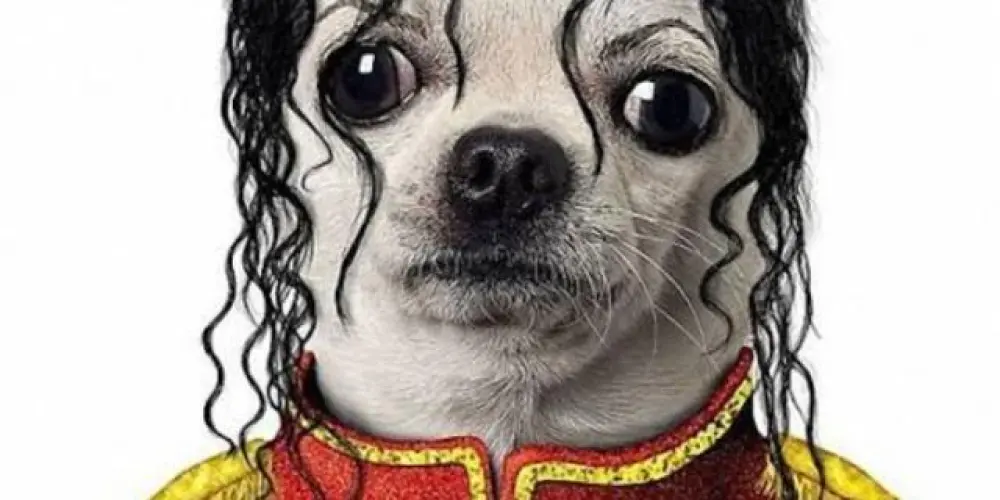 Imagem do grupo de WhatsApp Sem limites