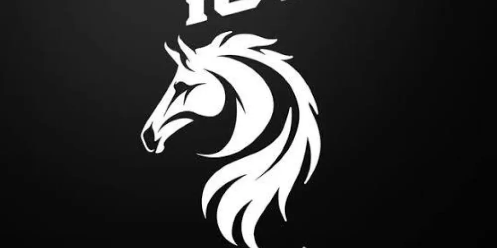 Imagem do grupo de WhatsApp SEM LIMITES