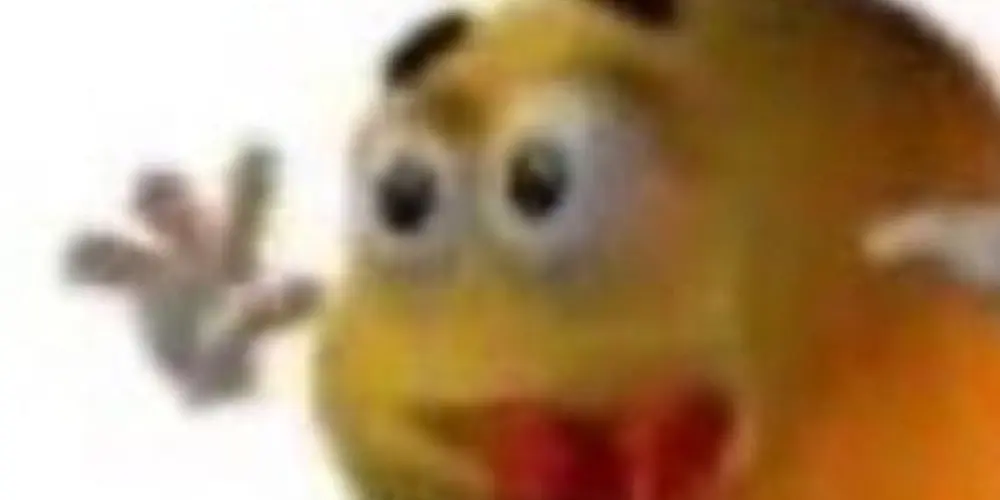 Imagem do grupo de WhatsApp SEM LIMITES