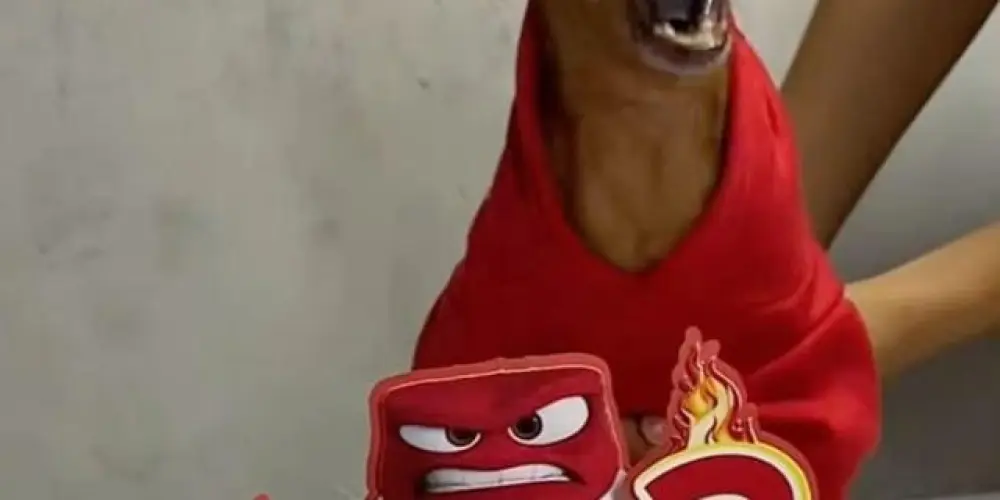 Imagem do grupo de WhatsApp ↯ ∘⃟🎗️SEM LIMITES 𖥨 7.0