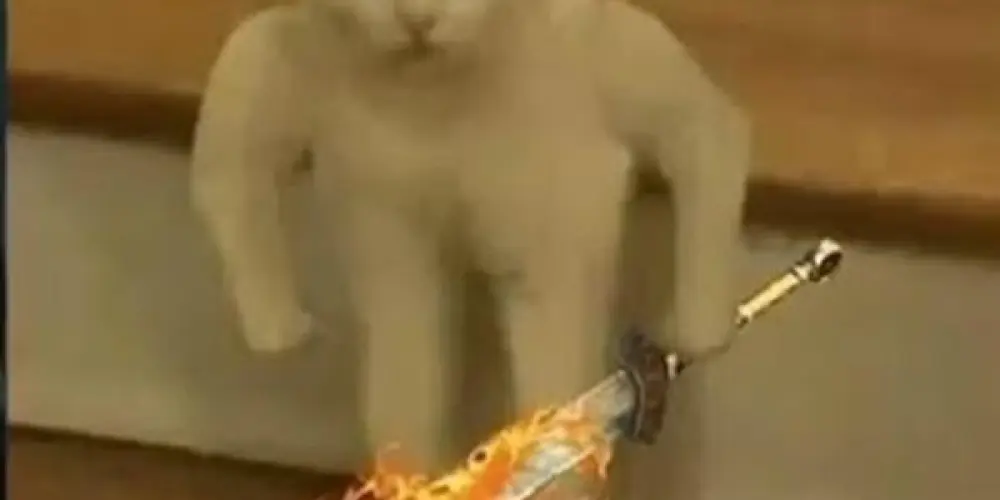 Imagem do grupo de WhatsApp Sem mimimi🙂‍↕