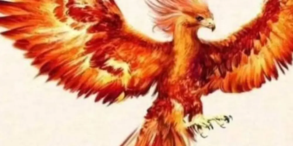 Imagem do grupo de WhatsApp Sem preconceito