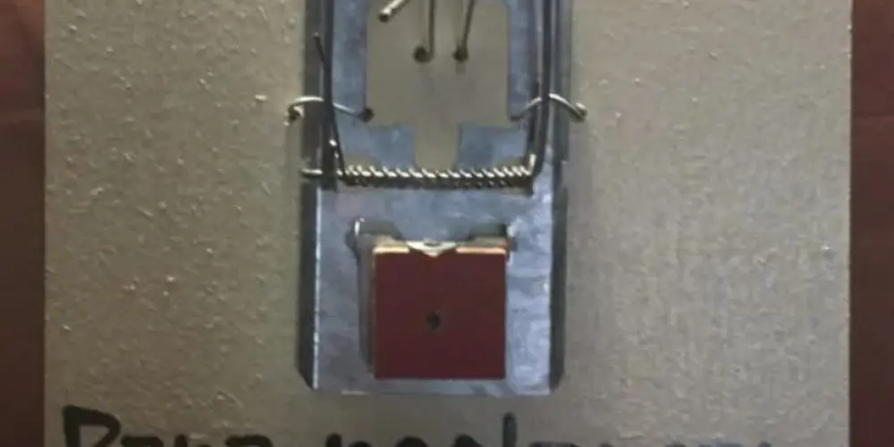 Imagem do grupo de WhatsApp 🫂SEM PUDOR🫂