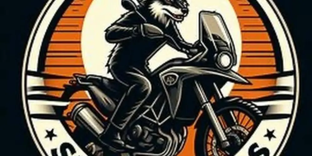 Imagem do grupo de WhatsApp Sem regra sem lei