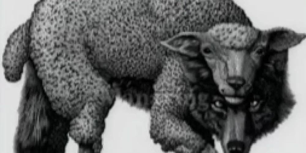 Imagem do grupo de WhatsApp SEM REGRAS