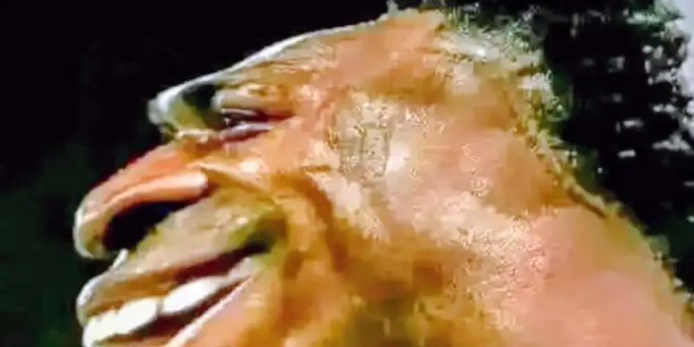 Imagem do grupo de WhatsApp SemNeurozs