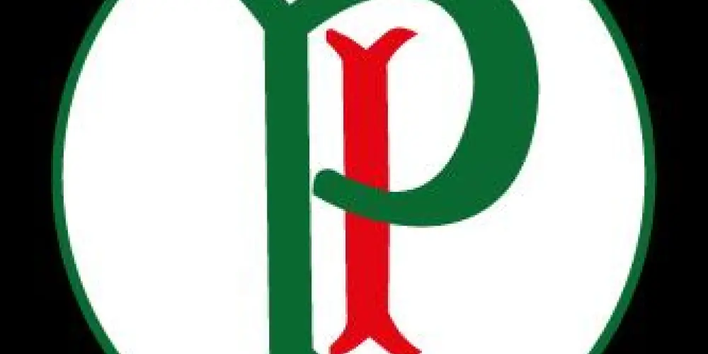 Imagem do grupo de WhatsApp 🇮🇹 S.E.Palmeiras 🇮🇹