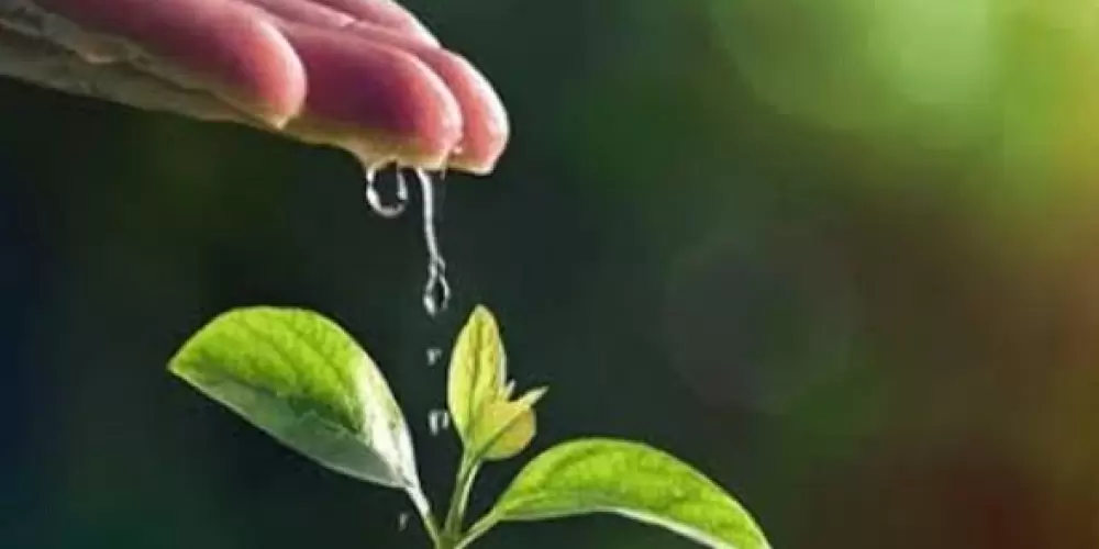 Imagem do grupo de WhatsApp Separados, Divorciados e Viúvos🦋