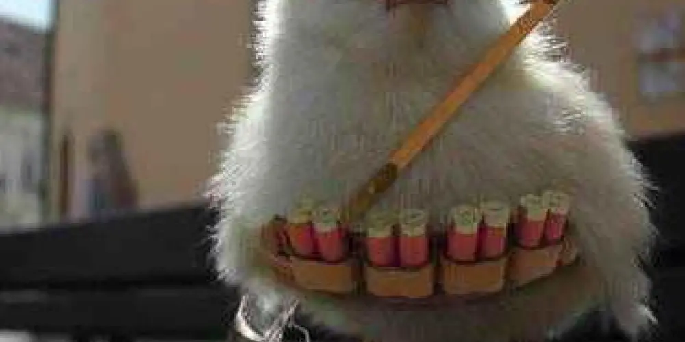 Imagem do grupo de WhatsApp 🧉Sergipe & Amizades 🌞