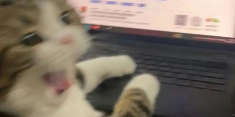 Imagem do grupo de WhatsApp séries, filmes e desenhos