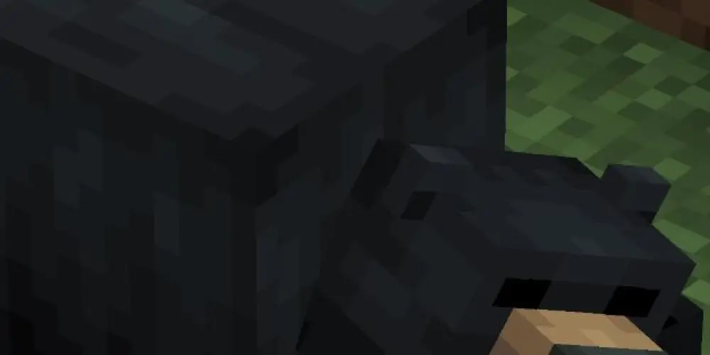 Imagem do grupo de WhatsApp Servidor Minecraft