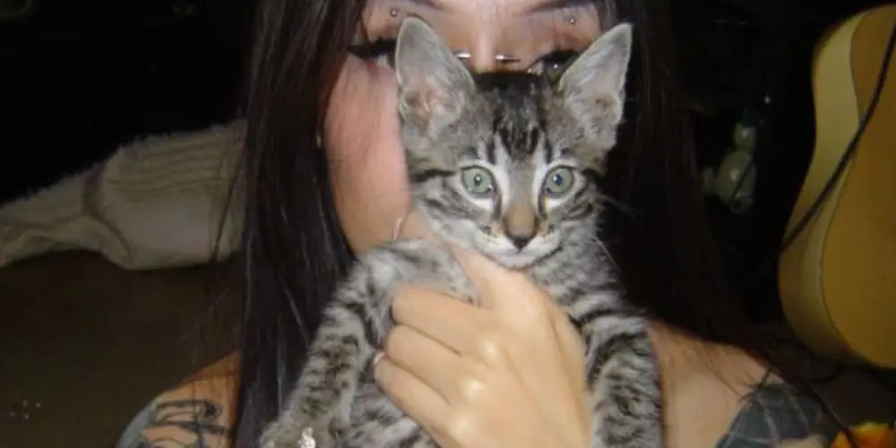 Imagem do grupo de WhatsApp set dj gm 26’