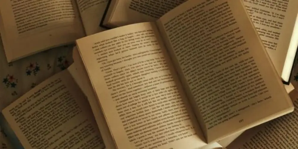 Imagem do grupo de WhatsApp ┆⏤͟͟͞͞ Seu paraíso literário 💕